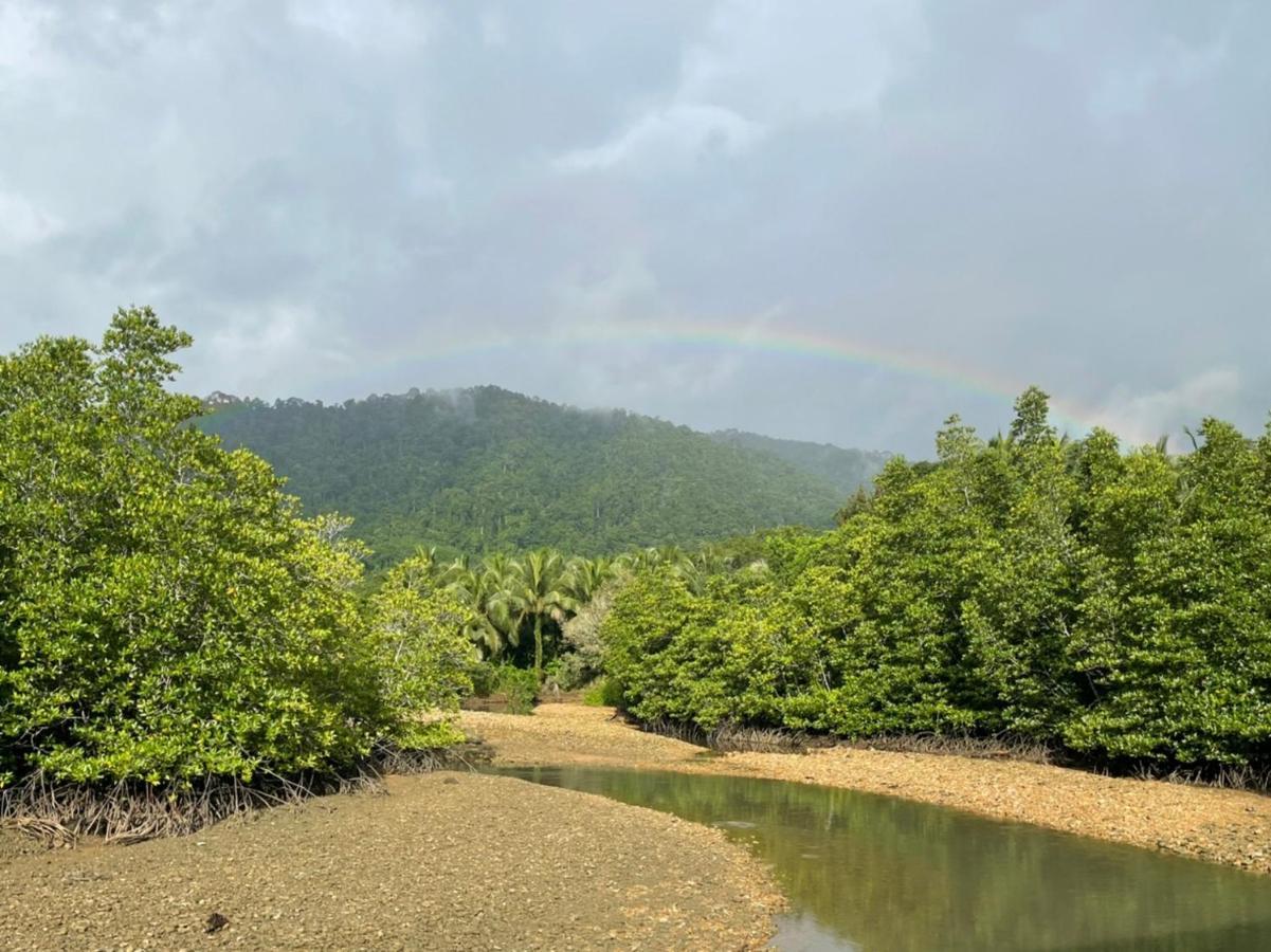 阁昌岛班查蕾度假村 象岛 外观 照片