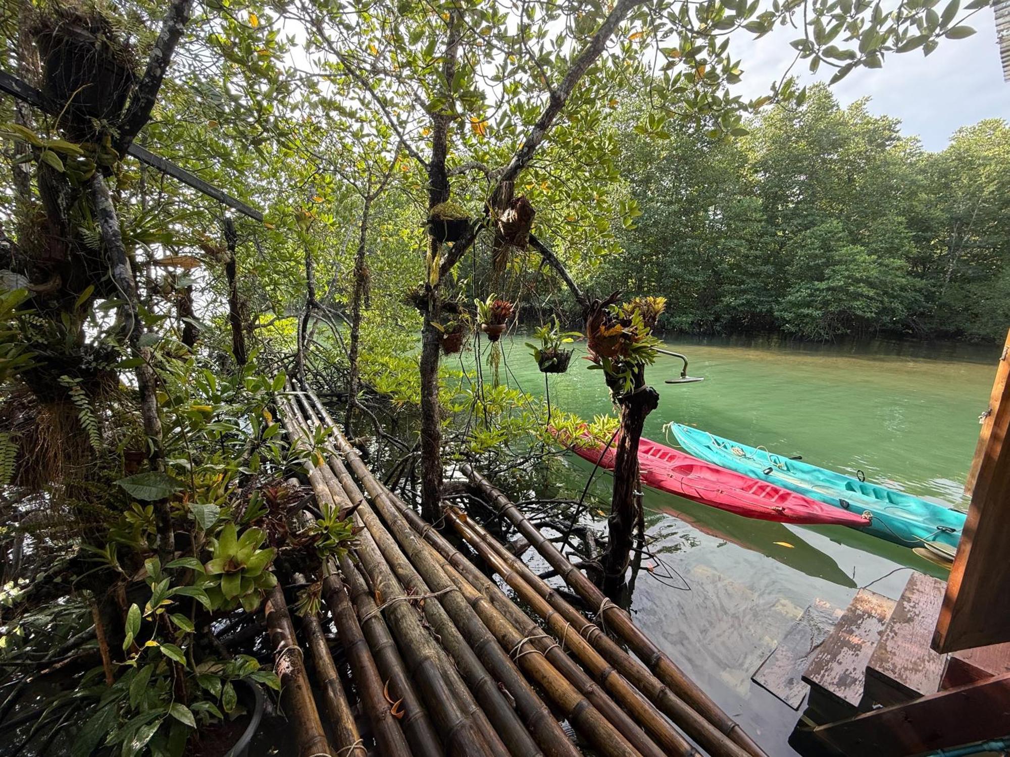 阁昌岛班查蕾度假村 象岛 外观 照片